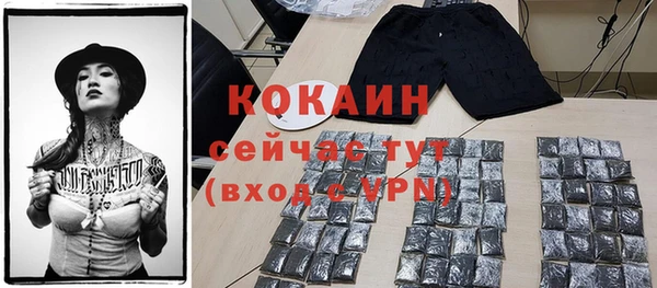 индика Пенза