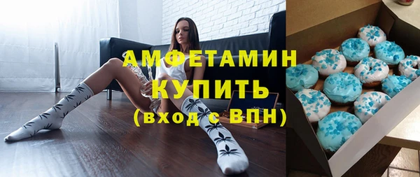 индика Пенза