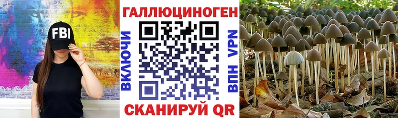 Галлюциногенные грибы Magic Shrooms  Кандалакша 