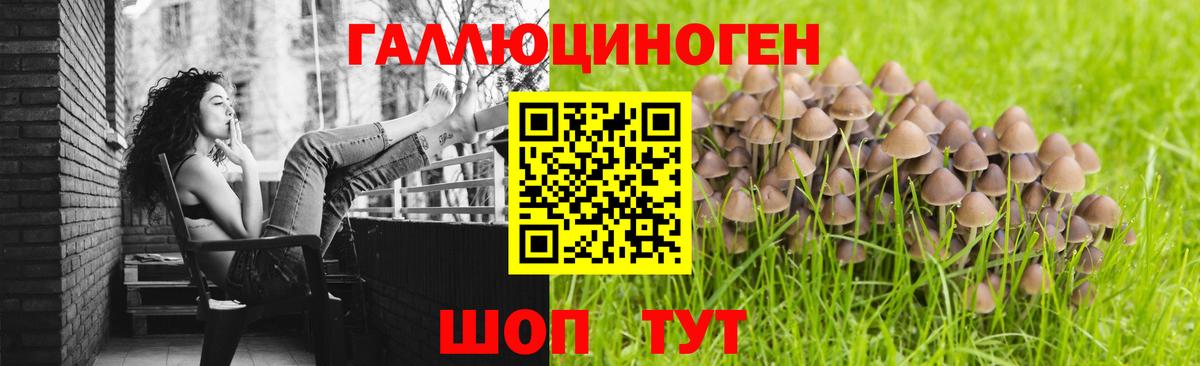 Кандалакша  Галлюциногенные грибы Psilocybe  Вход с VPN 